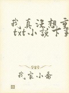 我真没想重生啊 txt小说下载