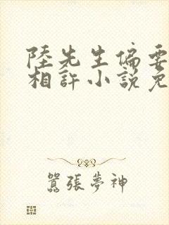 陆先生偏要以婚相许小说免费阅读