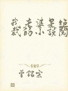 我老婆是绝色总裁的小说阅读