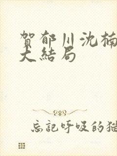 贺郁川沈楠姜苒大结局