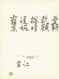 霸道总裁爱上我叶婉晴顾靳渊