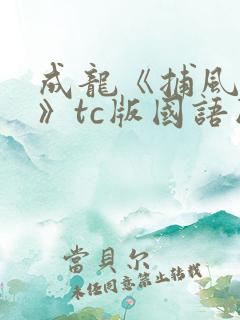 成龙《捕风追影》tc版国语版