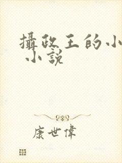 摄政王的小闲妻 小说