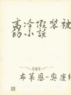 高冷假装被催眠的小说