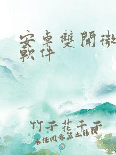 安卓双开微信的软件