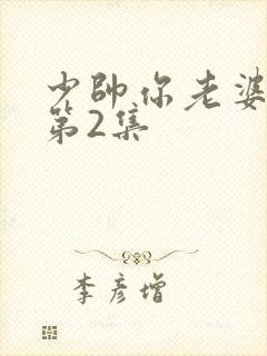 少帅你老婆又跑第2集