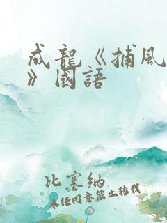 成龙《捕风追影》国语