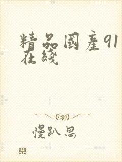 精品国产91一在线