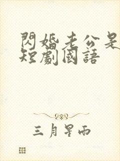 闪婚老公是豪门短剧国语