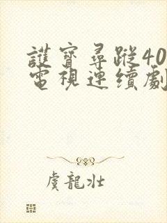 护宝寻踪40集电视连续剧