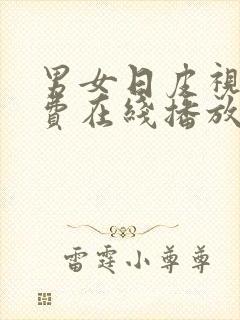 男女日皮视频免费在线播放