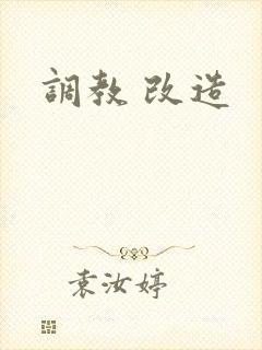 调教 改造