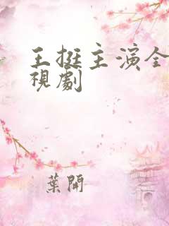 王挺主演全部电视剧