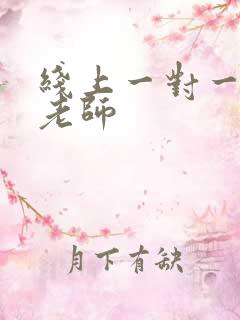 线上一对一家教老师