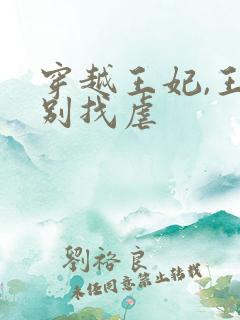 穿越王妃,王爷别找虐