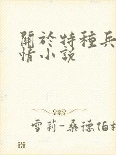 关于特种兵的言情小说