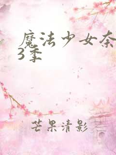 魔法少女奈叶第3季