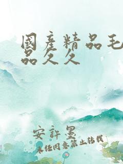 国产精品毛片极品久久