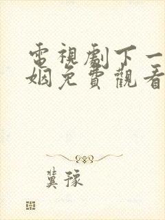 电视剧下一站婚姻免费观看全集高清