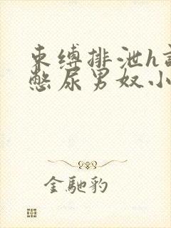 束缚排泄h调教憋尿男奴小说