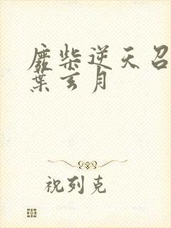 废柴逆天召唤师叶玄月