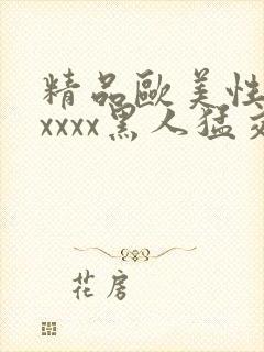 精品欧美性猛交xxxx黑人猛交