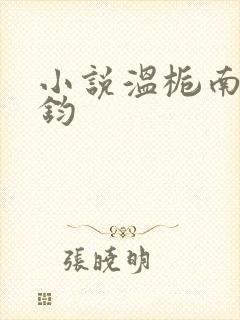 小说温栀南霍承钧