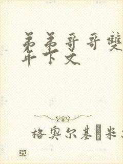 弟弟哥哥双男主年下文