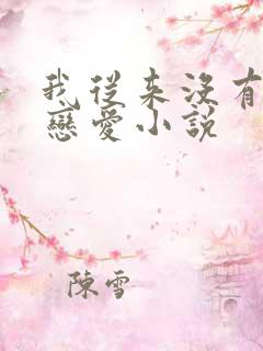 我从来没有谈过恋爱小说