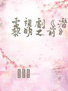 电视剧《潜伏在黎明之前》