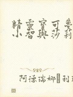 精灵宝可梦漫画小智与莎莉娜结婚