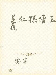 美红孙倩王申高义