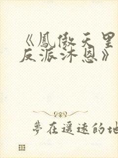 《凤傲天里黄毛反派沐恩》免费阅读