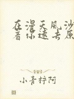 在漫天风沙里望着你远去原唱