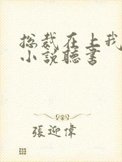 总裁在上我在下小说听书