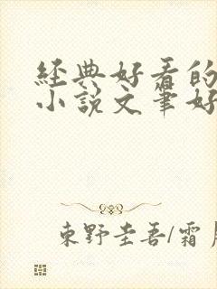 经典好看的言情小说文笔好的