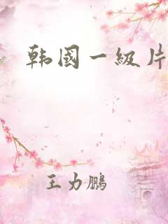 韩国一级片伦理