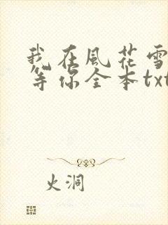 我在风花雪月里等你全本txt下载
