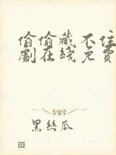 偷偷藏不住电视剧在线免费观看