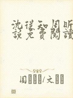 沈从知周昕夏小说免费阅读