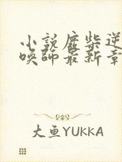 小说废柴逆天召唤师最新章节阅