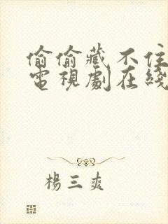 偷偷藏不住60电视剧在线观看免费