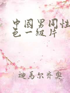 中国男同性恋黄色一级片