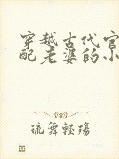 穿越古代官府分配老婆的小说