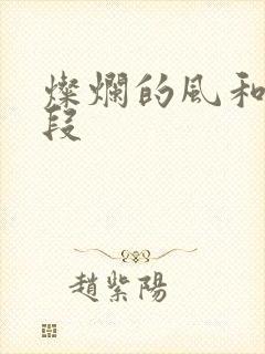 灿烂的风和海片段