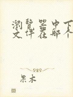 浏览器中下载的文件在哪个文件夹