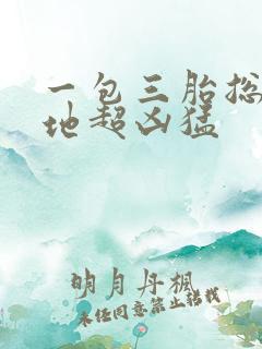 一包三胎总裁爹地超凶猛