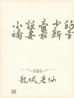 小说帝少的独宠娇妻最新章节