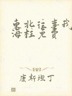 东北往事我叫刘海柱免费