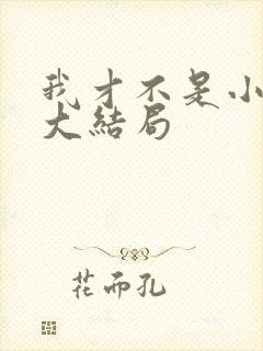 我才不是小可怜大结局